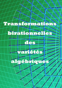 Transformations birationnelles des variétés algébriques