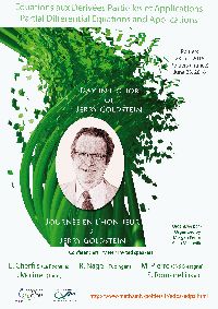 Equations aux derivees partielles et applications, Journee en l&rsquo;honneur de Jerry Goldstein