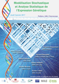 Modélisation stochastique et analyse statistique de l&rsquo;expression génétique