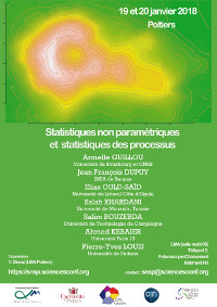 Statistiques non paramétriques et statistiques des processus